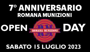 ROMANA-MINI-1