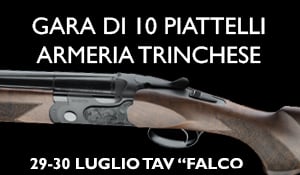 preview2-mini-TAV-FALCO